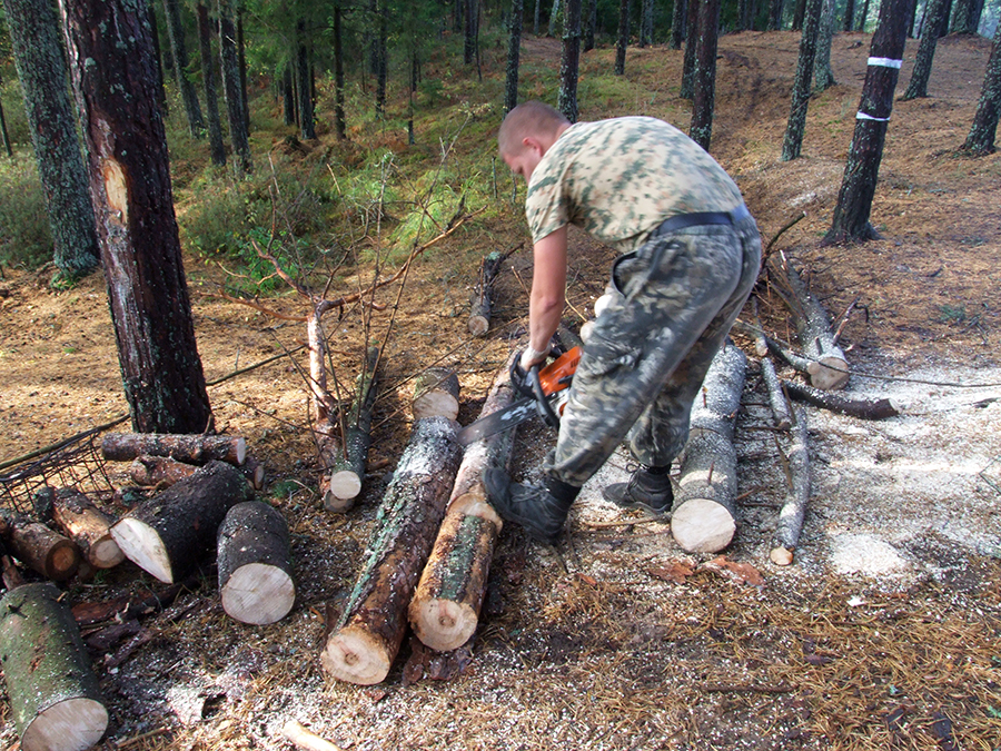 заготовка дров для походной бани