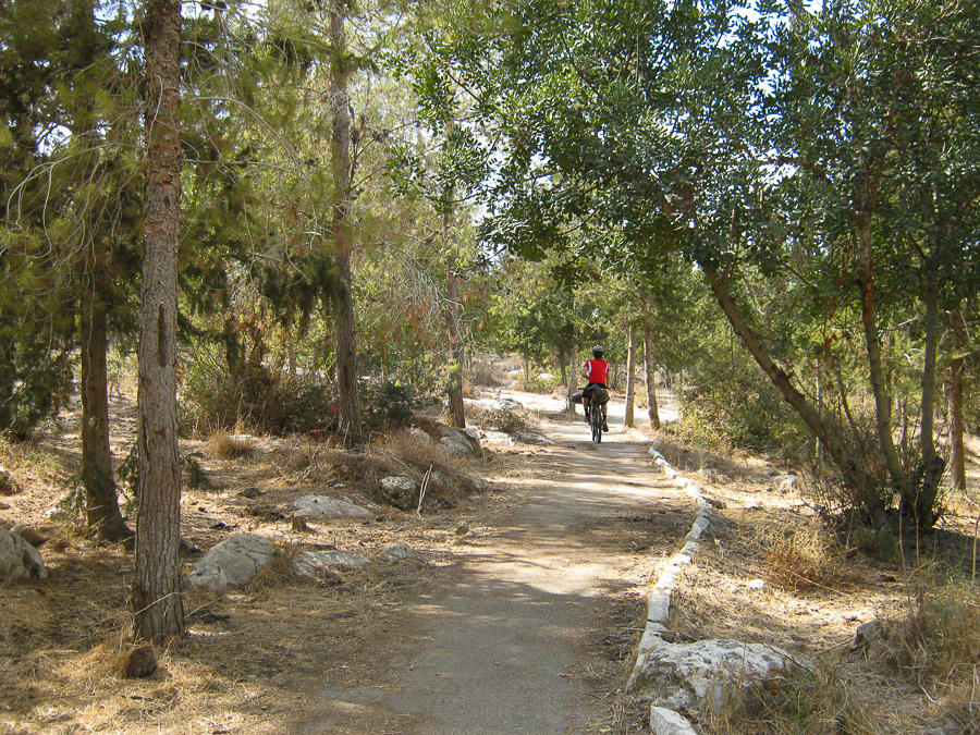 Haruvit Forest Израиль