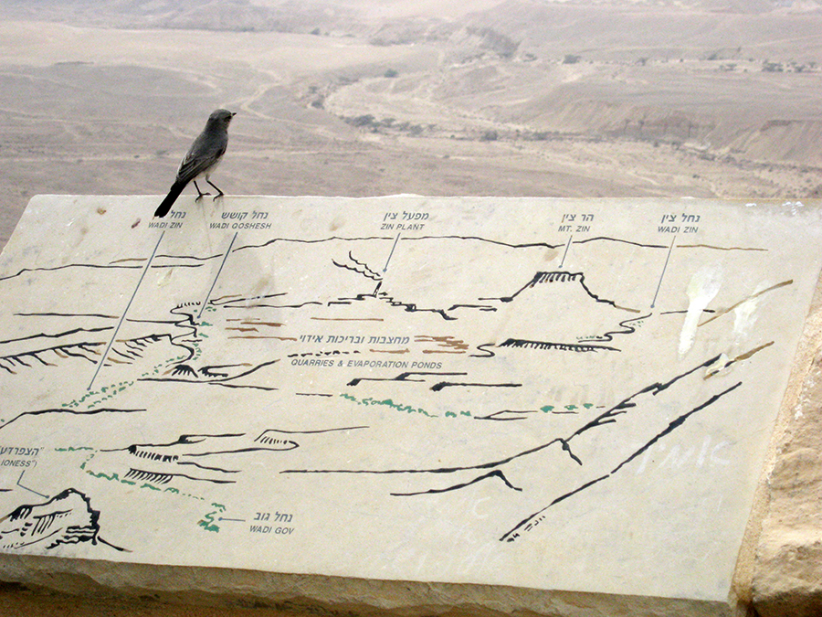 перевал Маале-Акрабим Израиль