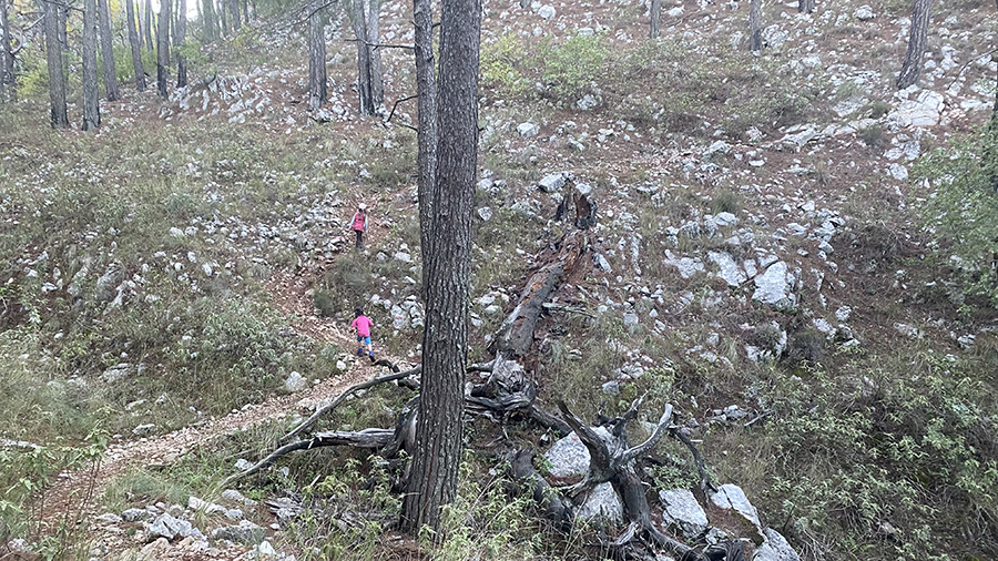 Восточная Ликийская тропа