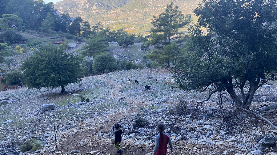 Восточная Ликийская тропа