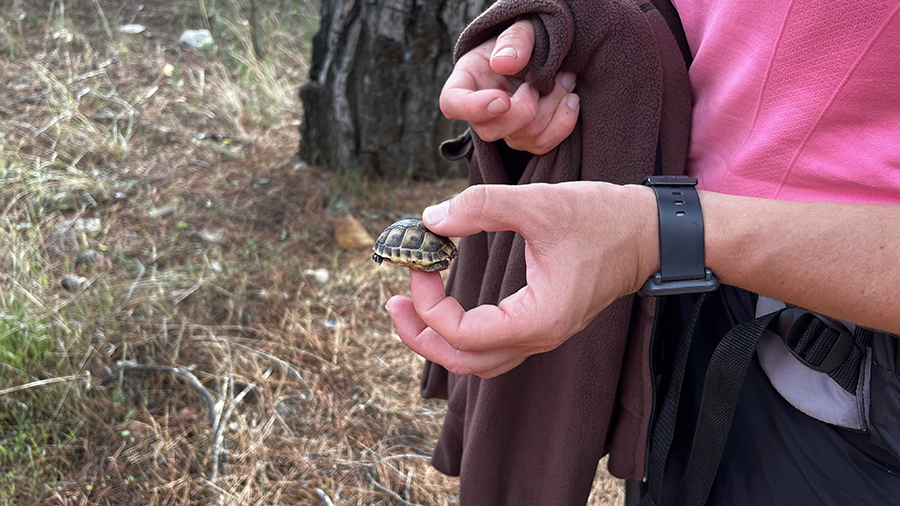 Восточная Ликийская тропа